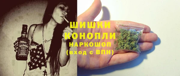 стаф Бородино