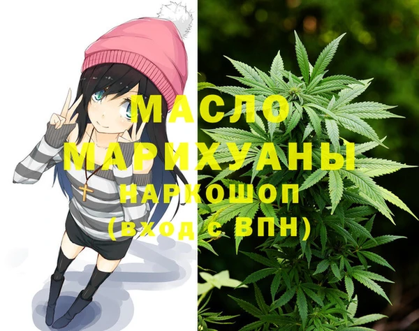 стаф Бородино
