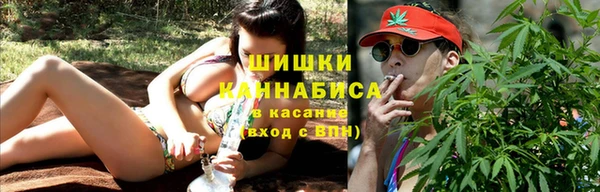 стаф Бородино